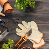 gardening_tools